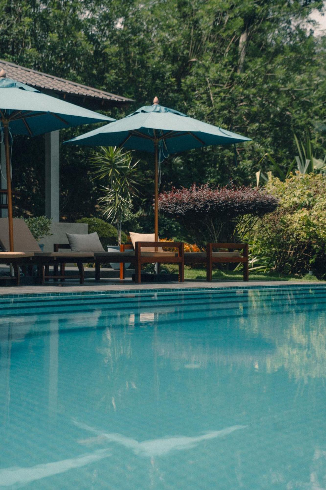 Aarunya Nature Resort - Kandy Extérieur photo