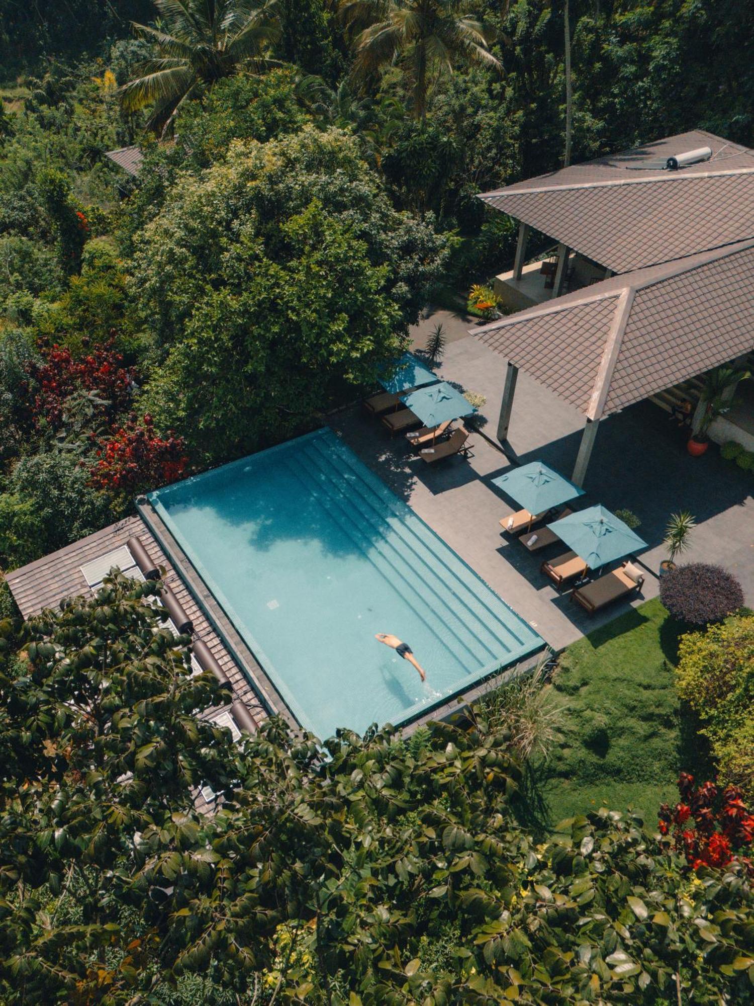 Aarunya Nature Resort - Kandy Extérieur photo