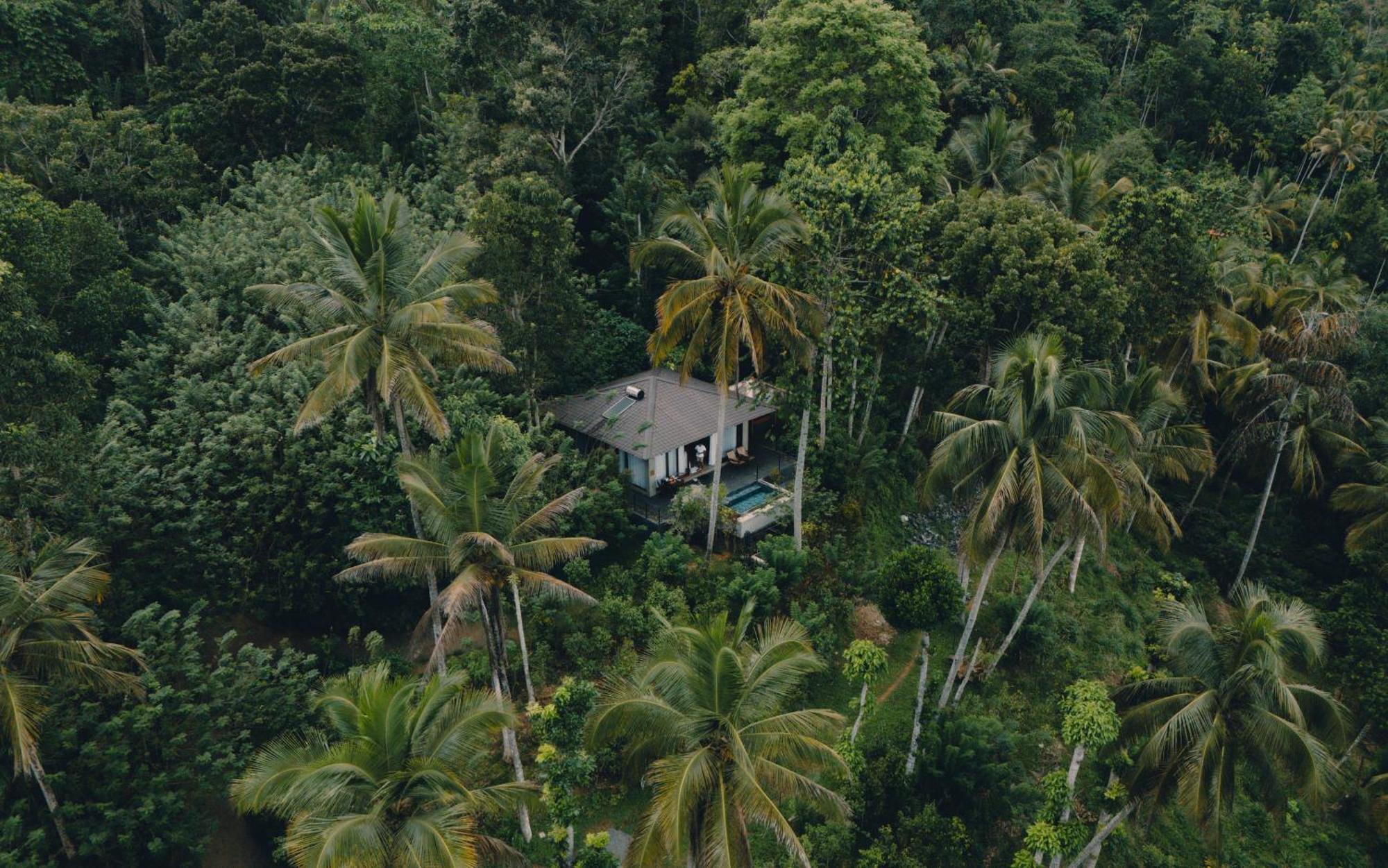 Aarunya Nature Resort - Kandy Extérieur photo