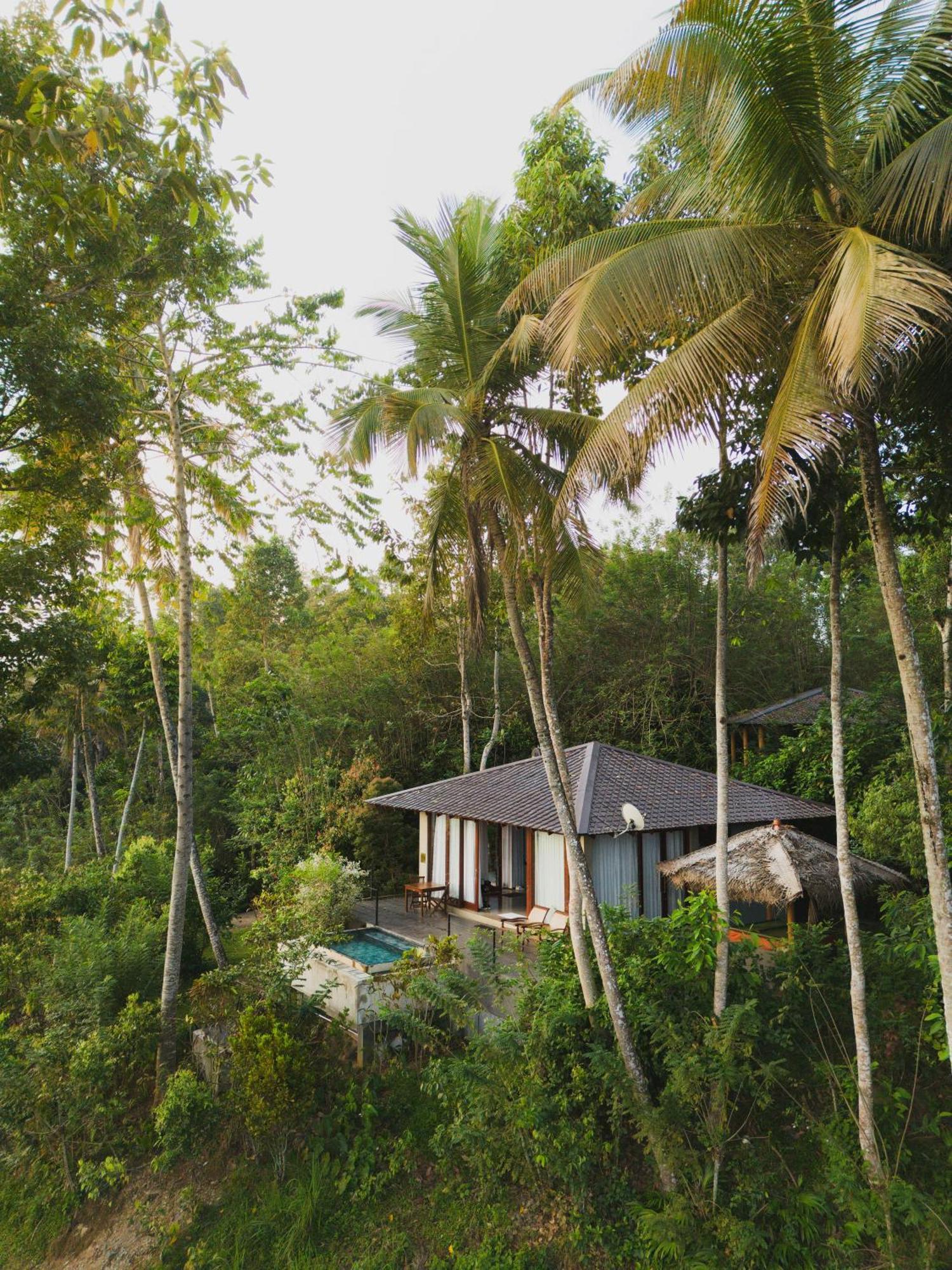 Aarunya Nature Resort - Kandy Extérieur photo